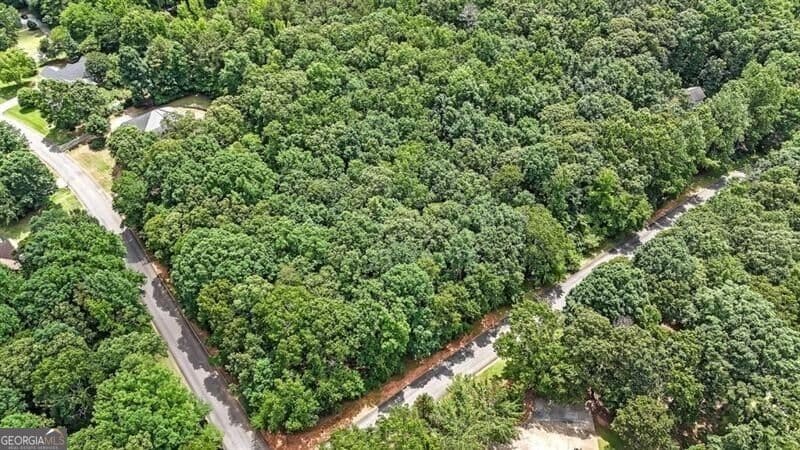 unimproved land for sale at 40 Coral Drive, Whitesburg, GA 30185 — photo 3