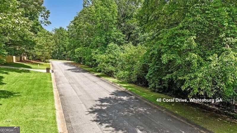 unimproved land for sale at 40 Coral Drive, Whitesburg, GA 30185 — photo 5