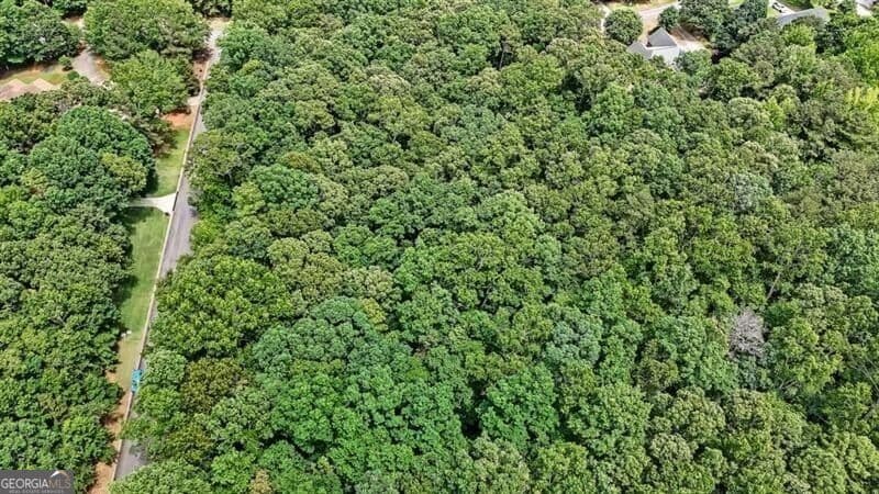 unimproved land for sale at 40 Coral Drive, Whitesburg, GA 30185 — photo 9