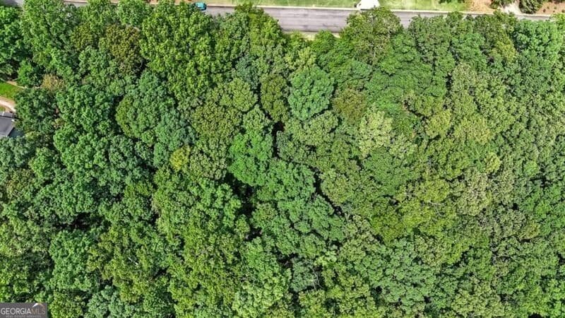 unimproved land for sale at 40 Coral Drive, Whitesburg, GA 30185 — photo 10