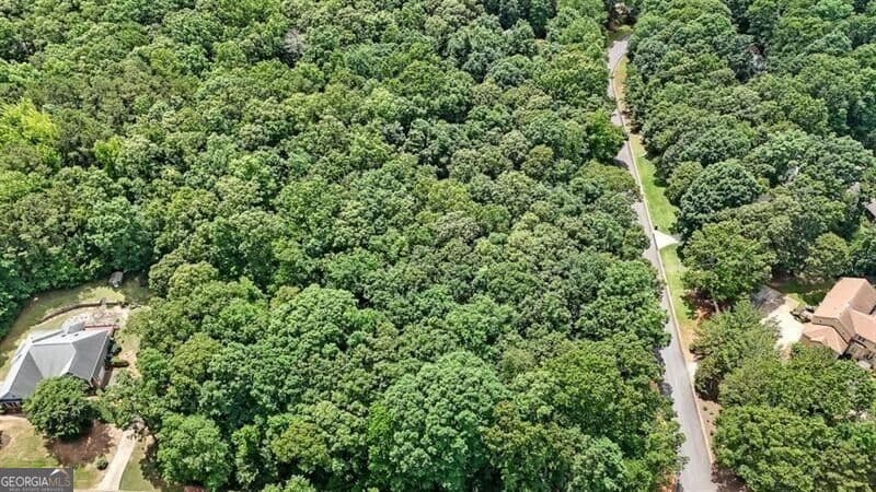 unimproved land for sale at 40 Coral Drive, Whitesburg, GA 30185 — photo 8