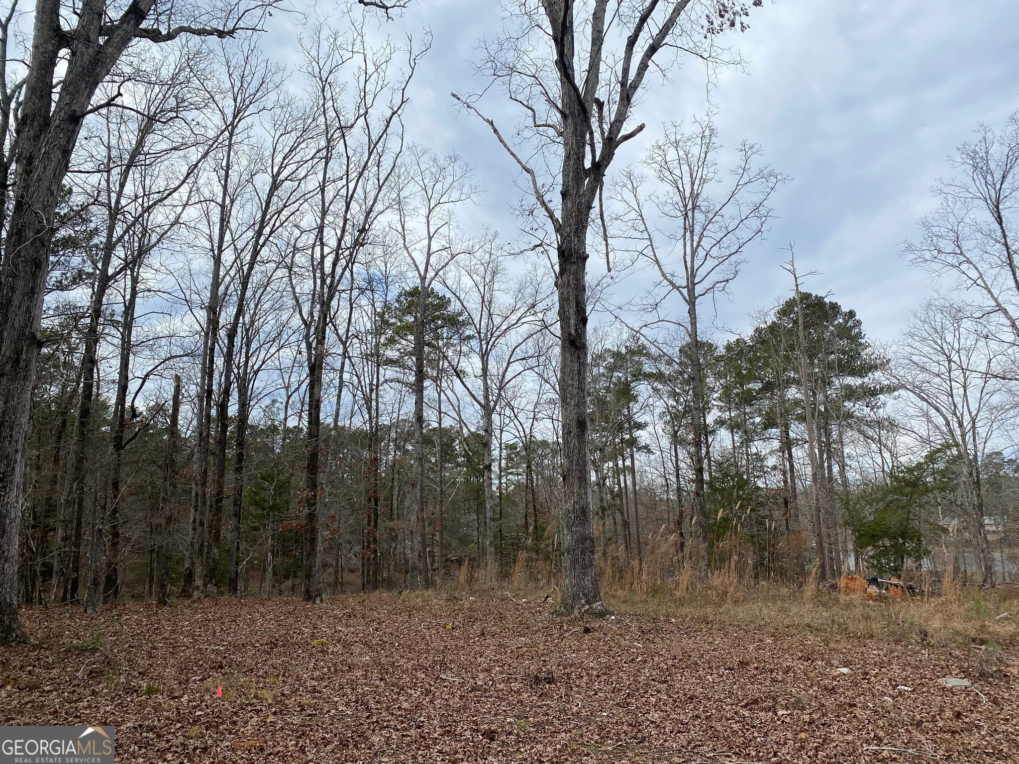 residential lot for sale at 0 Paradise Street, Lincolnton, GA 30817 — photo 2