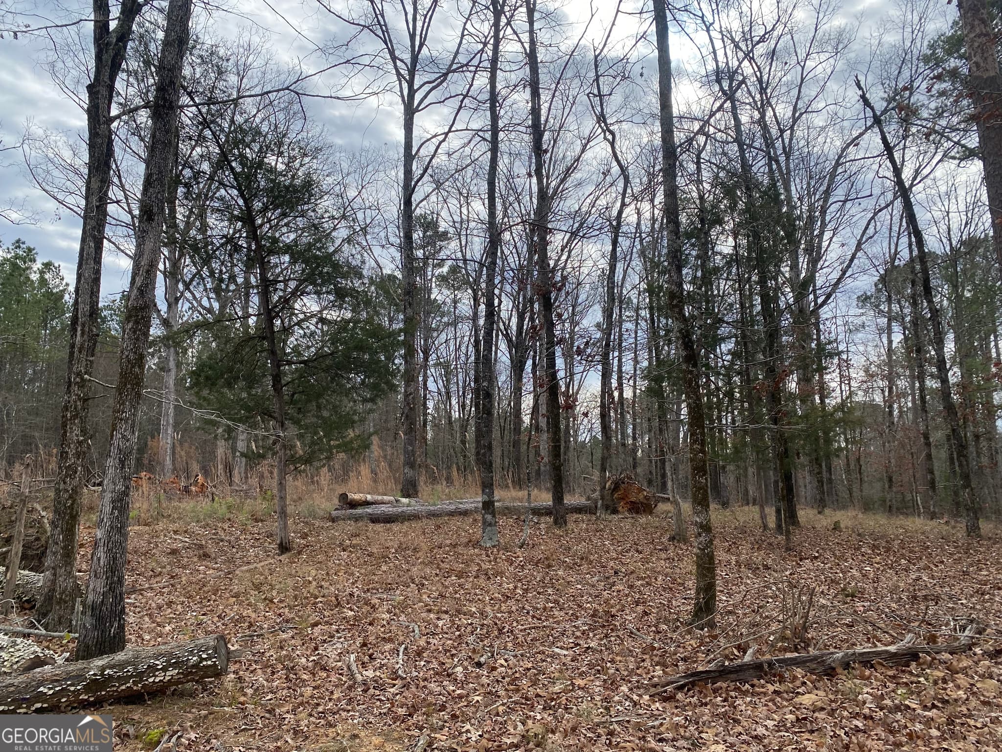 residential lot for sale at 0 Paradise Street, Lincolnton, GA 30817 — photo 3