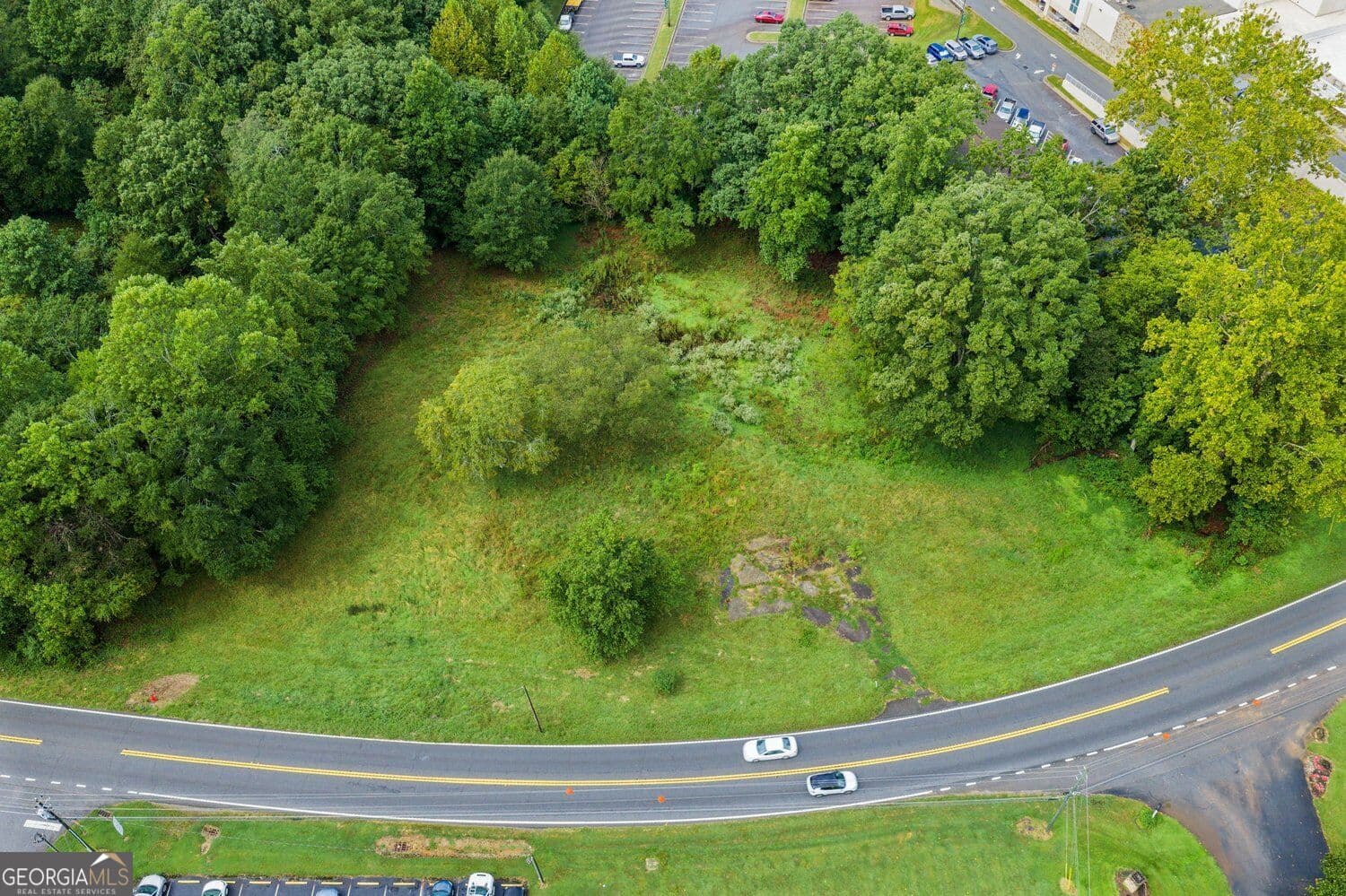 unimproved land for sale at 433 N Historic Highway 441, Demorest, GA 30535 — photo 7