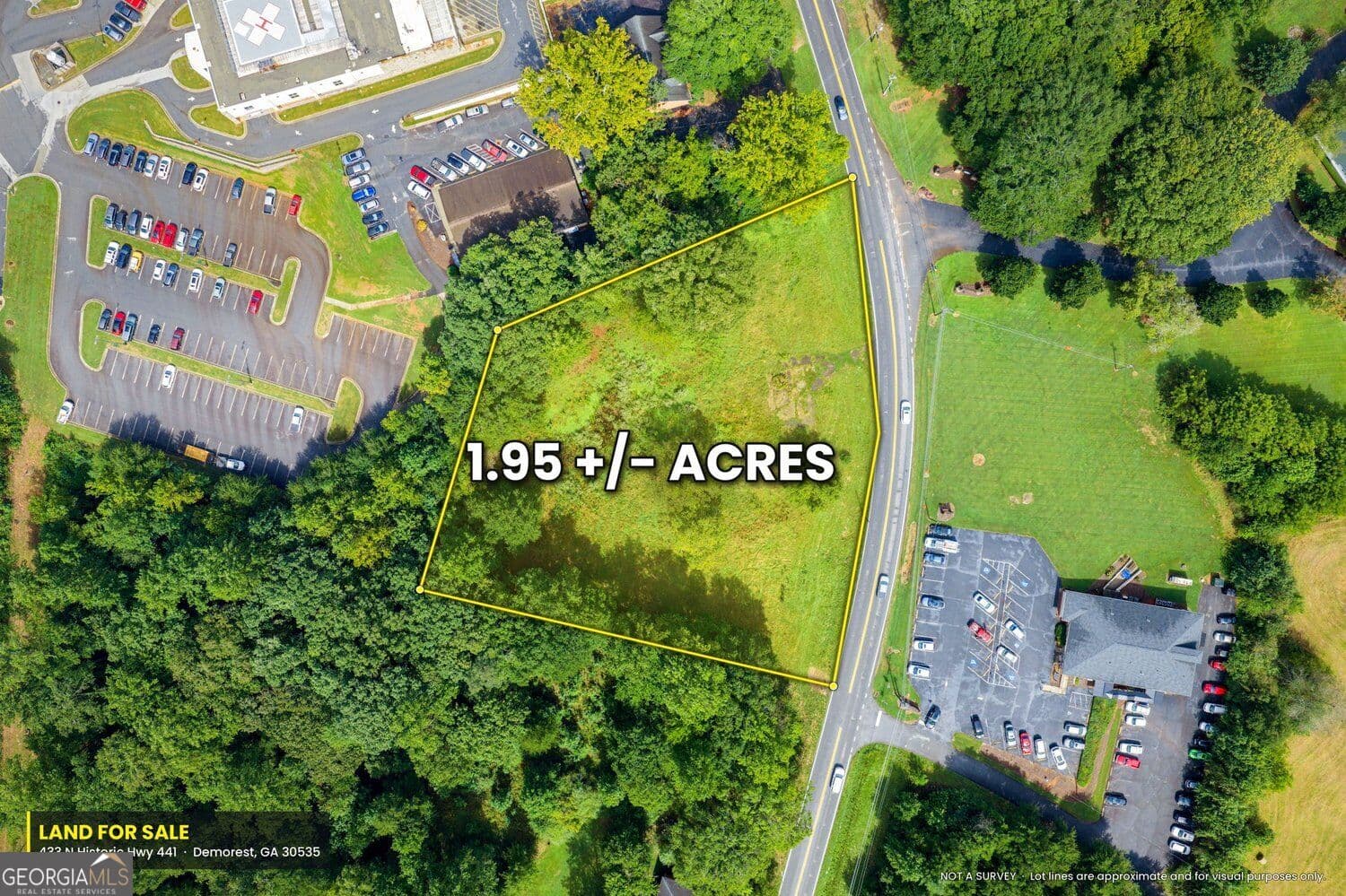 unimproved land for sale at 433 N Historic Highway 441, Demorest, GA 30535 — photo 3