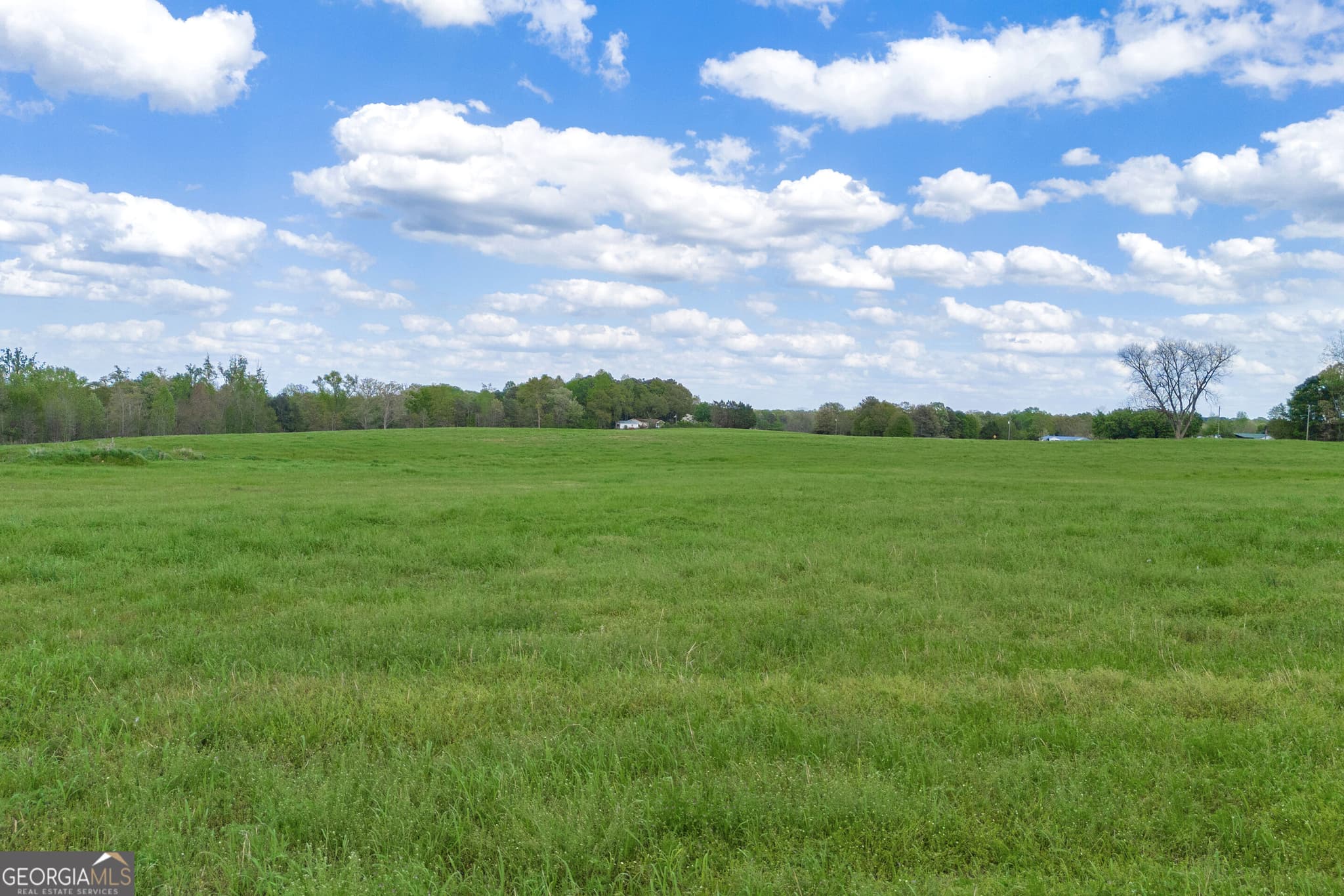 agriculture for sale at TRACT 2 Kristy Street, Bowersville, GA 30516 — photo 7