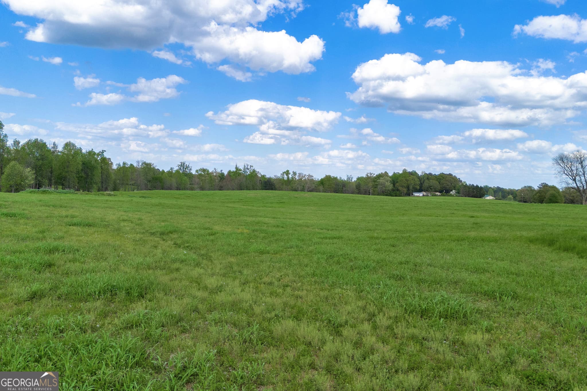 agriculture for sale at TRACT 2 Kristy Street, Bowersville, GA 30516 — photo 8