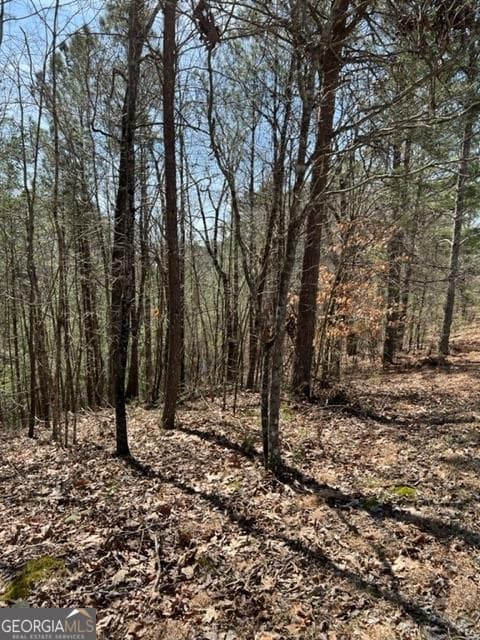 residential lot for sale at LT 4 Hunters Ridge, Ellijay, GA 30540 — photo 2