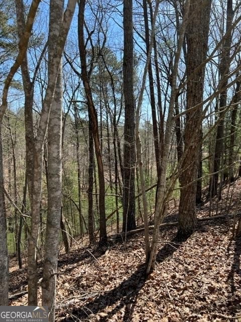 residential lot for sale at LT 4 Hunters Ridge, Ellijay, GA 30540 — photo 6