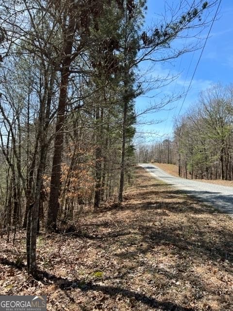 residential lot for sale at LT 4 Hunters Ridge, Ellijay, GA 30540 — photo 3