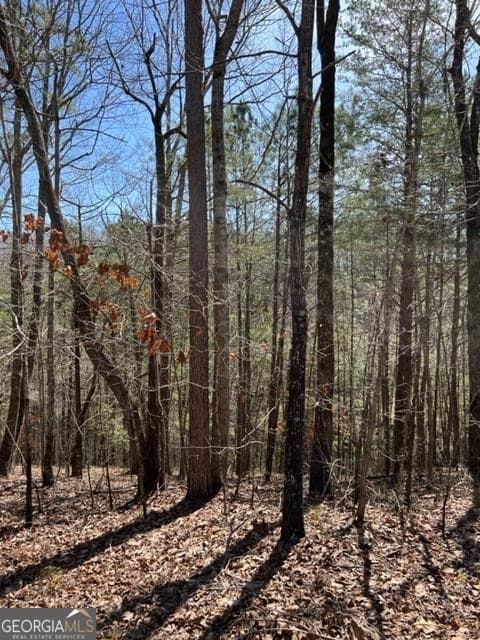 residential lot for sale at LT 4 Hunters Ridge, Ellijay, GA 30540 — photo 1 of 25