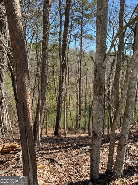residential lot for sale at LT 4 Hunters Ridge, Ellijay, GA 30540 — photo 5