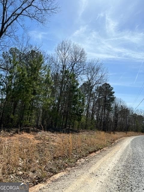 residential lot for sale at LT 4 Hunters Ridge, Ellijay, GA 30540 — photo 9