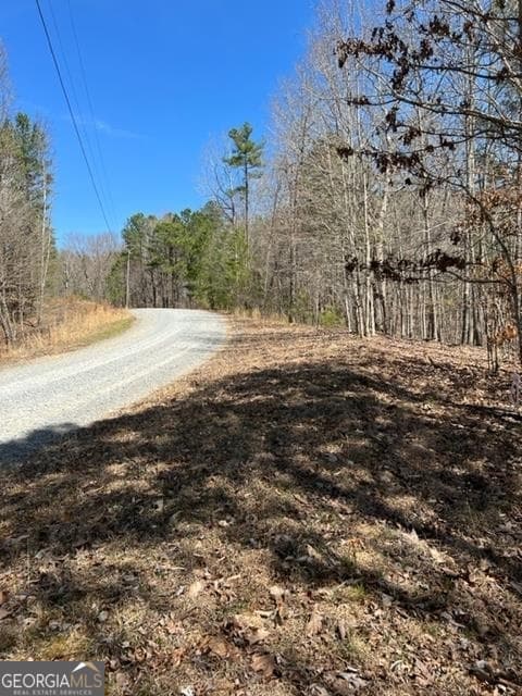 residential lot for sale at LT 4 Hunters Ridge, Ellijay, GA 30540 — photo 4