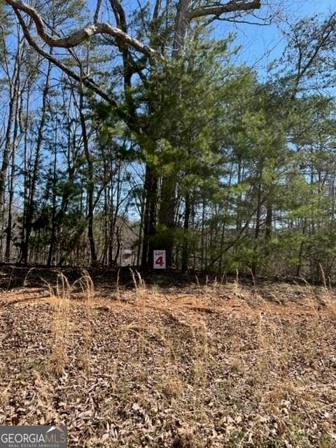 residential lot for sale at LT 4 Hunters Ridge, Ellijay, GA 30540 — photo 8