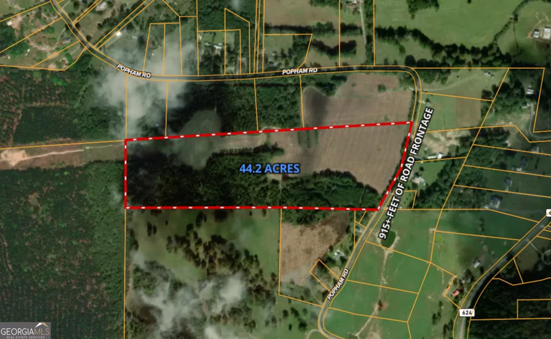agriculture for sale at 0 Popham Road, Taylorsville, GA 30178 — photo 2