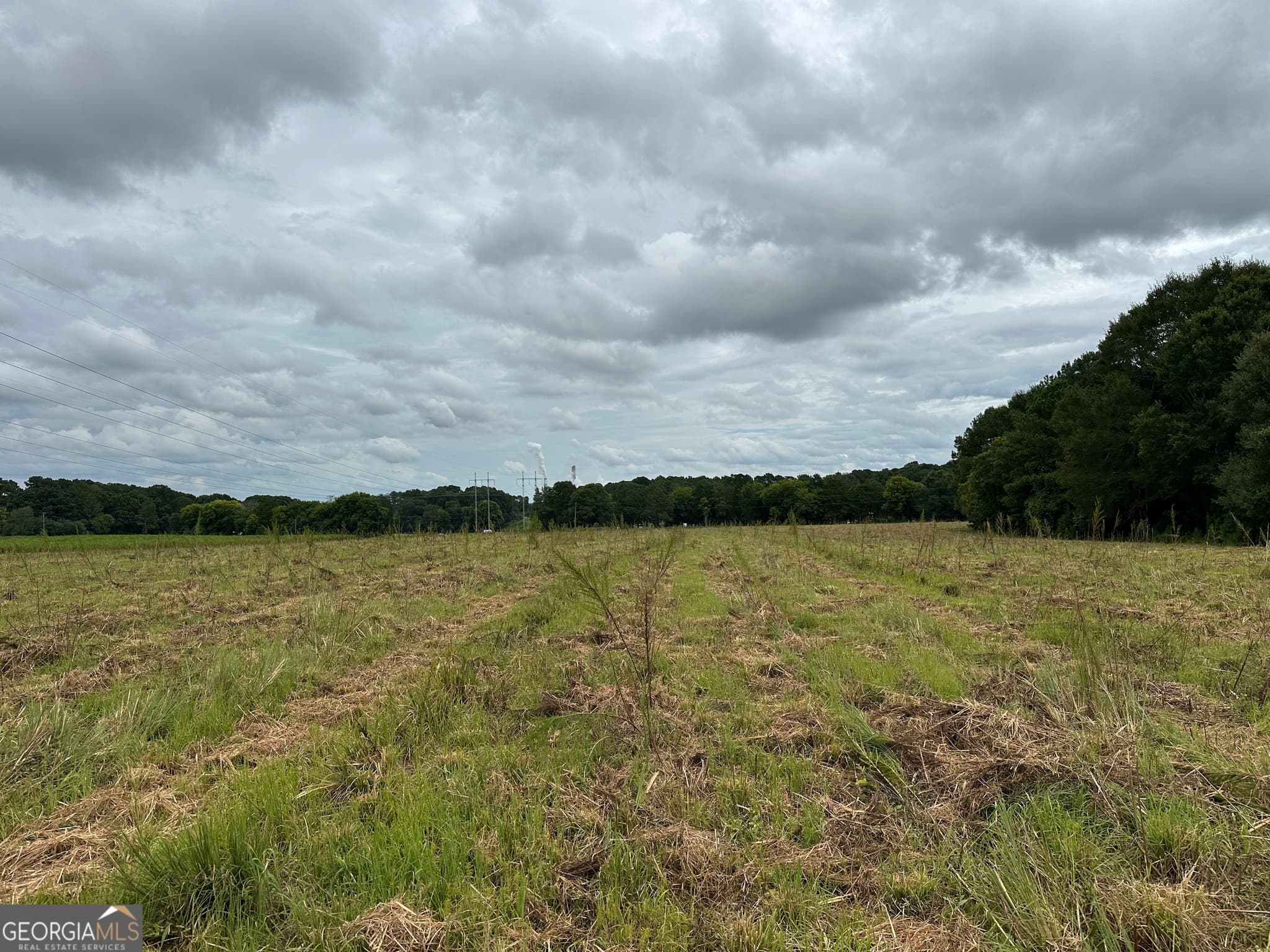 agriculture for sale at 0 Popham Road, Taylorsville, GA 30178 — photo 6