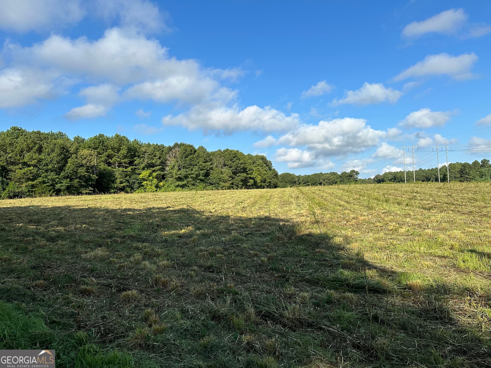 agriculture for sale at 0 Popham Road, Taylorsville, GA 30178 — photo 5