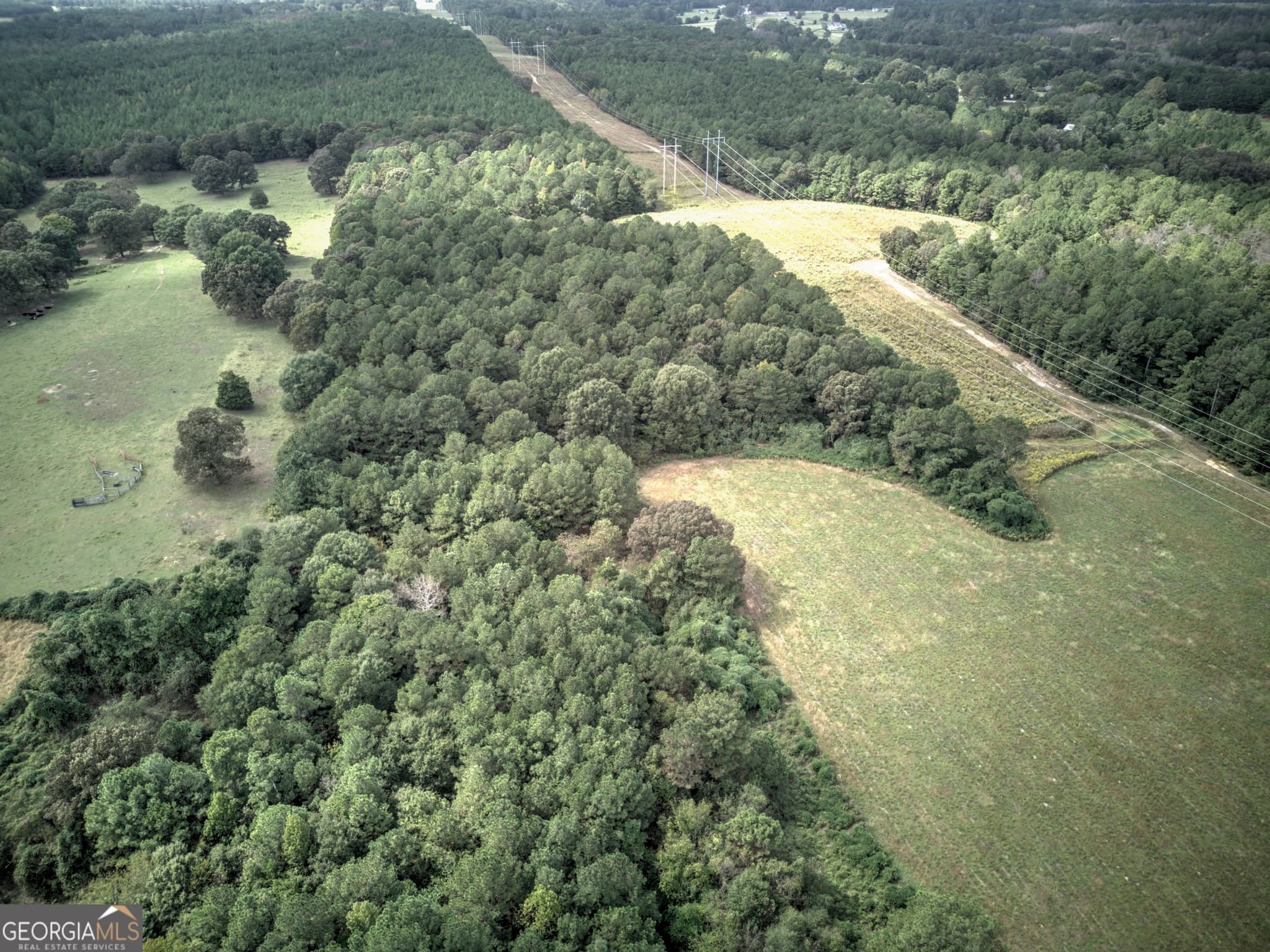 agriculture for sale at 0 Popham Road, Taylorsville, GA 30178 — photo 10