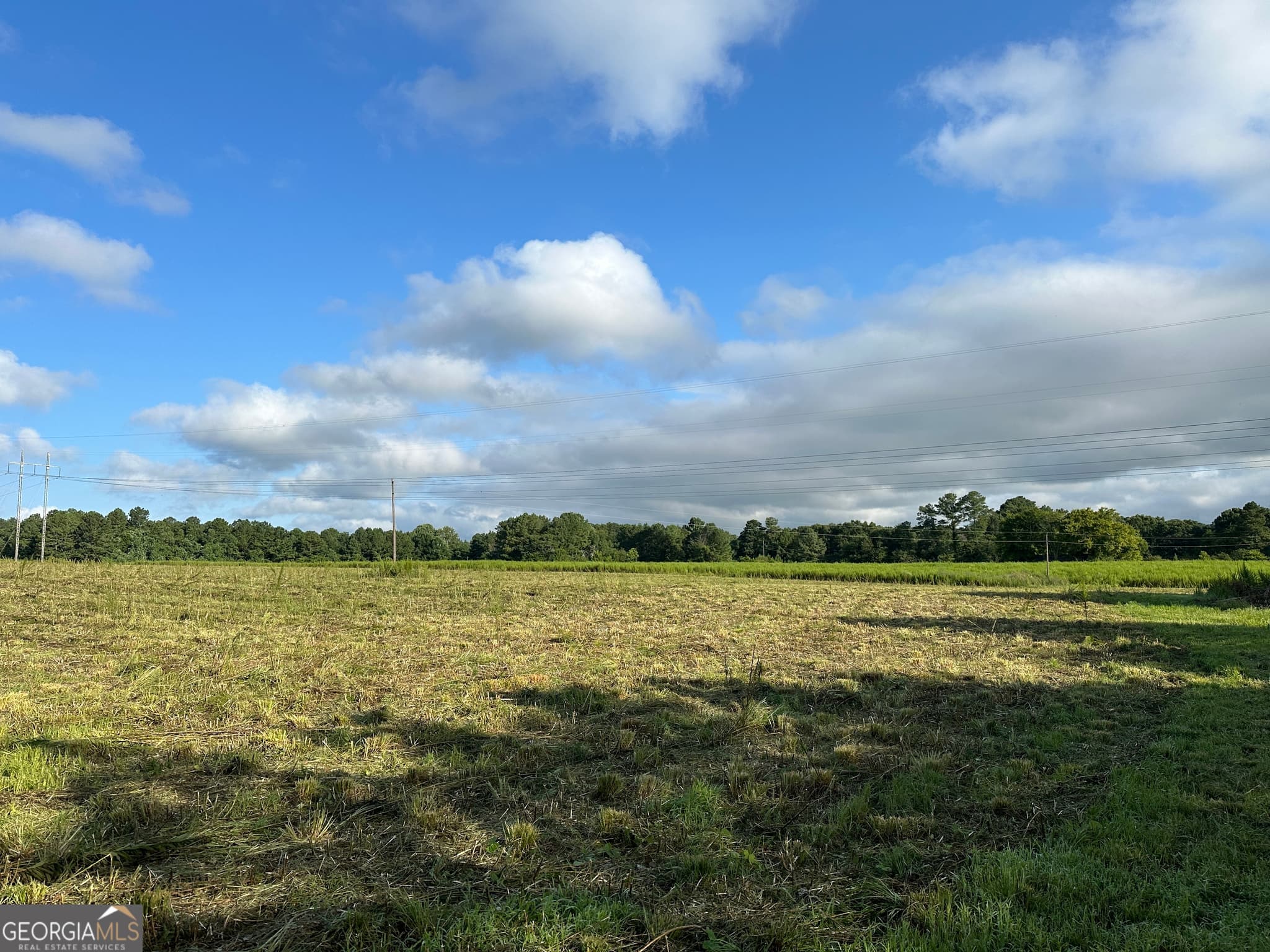 agriculture for sale at 0 Popham Road, Taylorsville, GA 30178 — photo 4