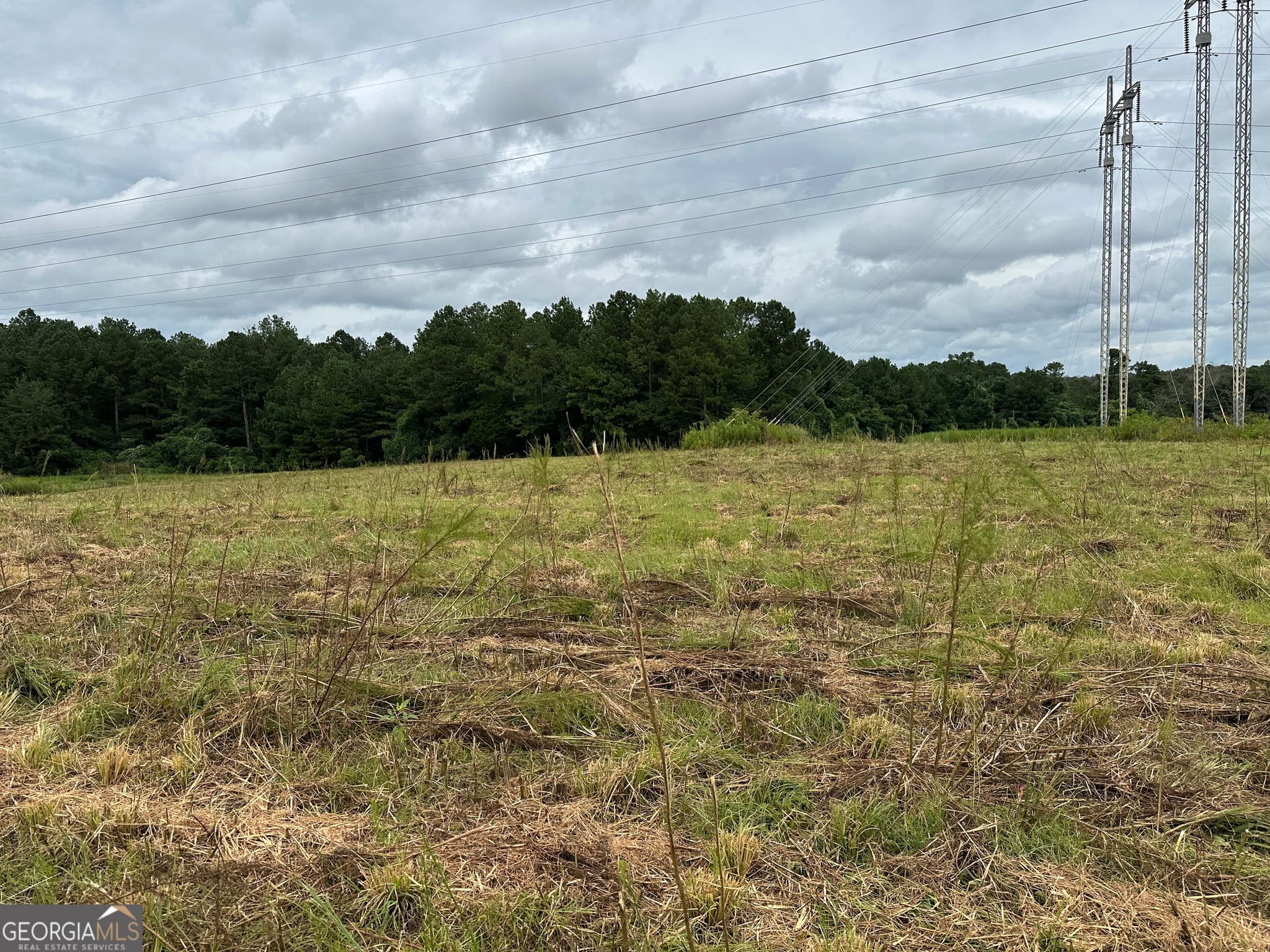 agriculture for sale at 0 Popham Road, Taylorsville, GA 30178 — photo 8