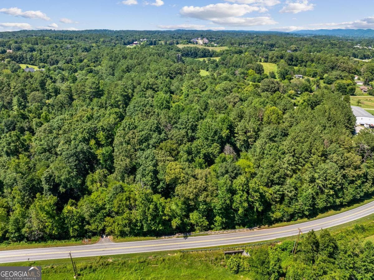 commercial for sale at 0 Mount Pisgah Road, Ringgold, GA 30736 — photo 2