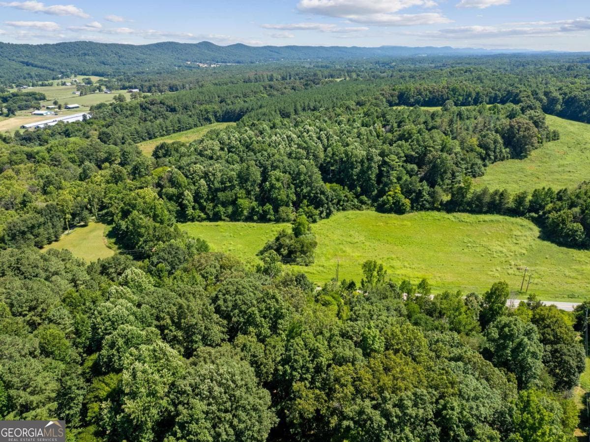 commercial for sale at 0 Mount Pisgah Road, Ringgold, GA 30736 — photo 6