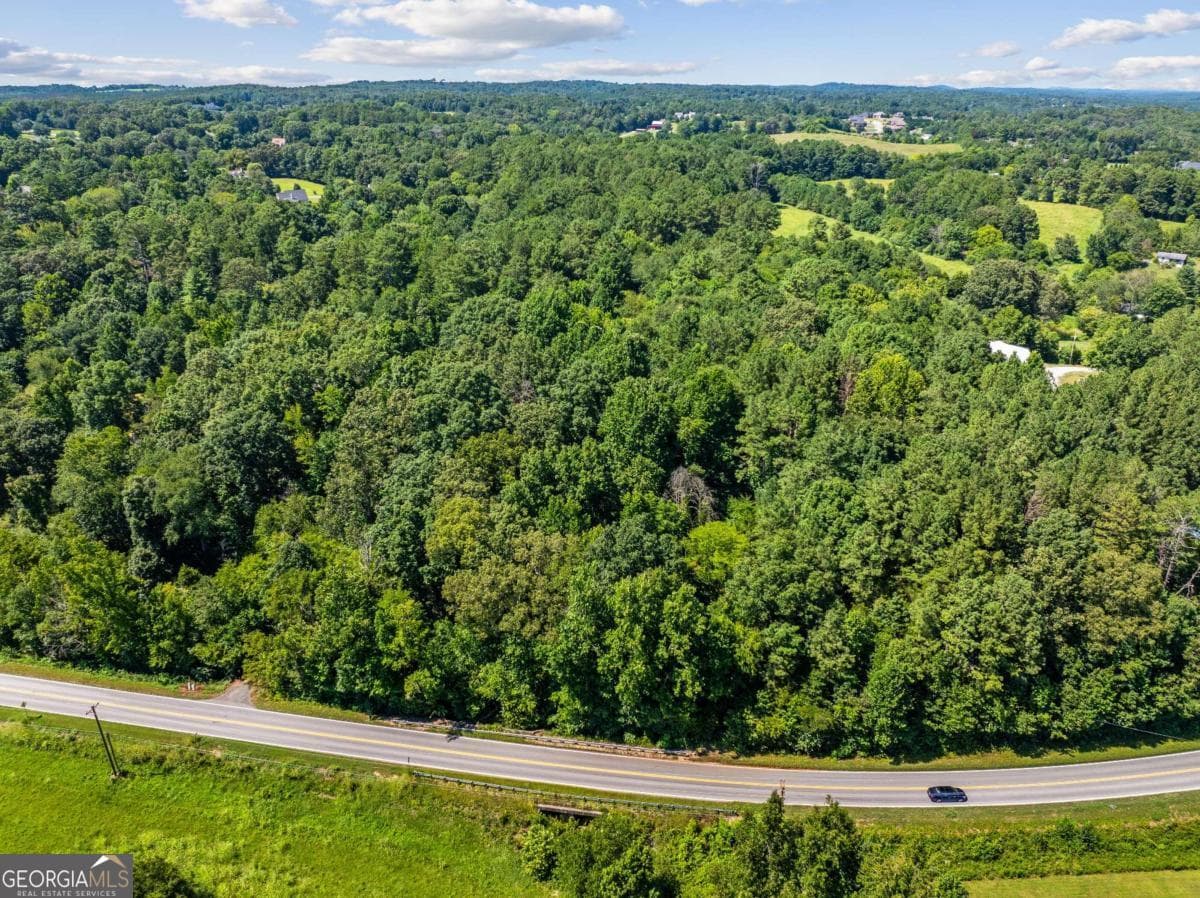 commercial for sale at 0 Mount Pisgah Road, Ringgold, GA 30736 — photo 3
