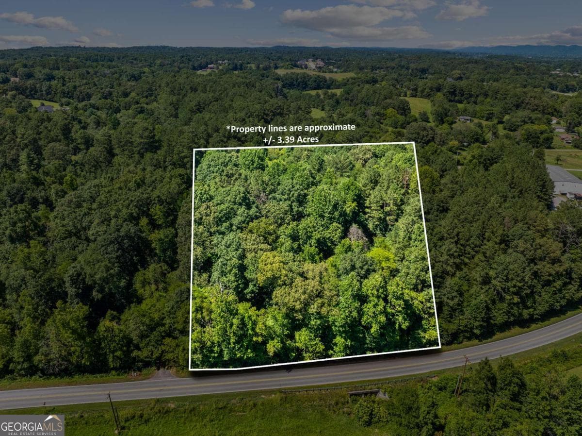 commercial for sale at 0 Mount Pisgah Road, Ringgold, GA 30736 — photo 1 of 7
