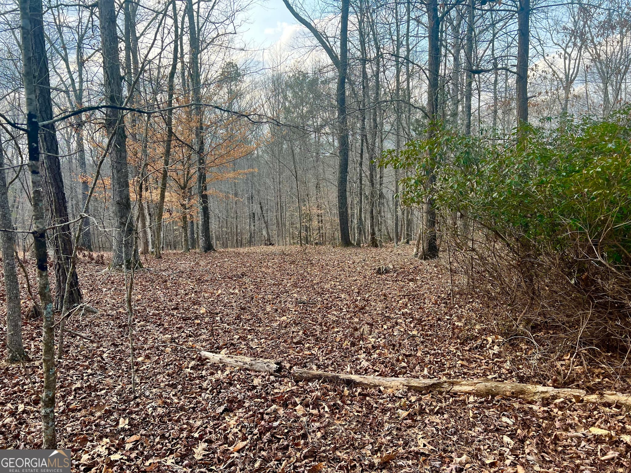 residential lot for sale at 5475 Trout Creek Drive, Douglasville, GA 30135 — photo 6