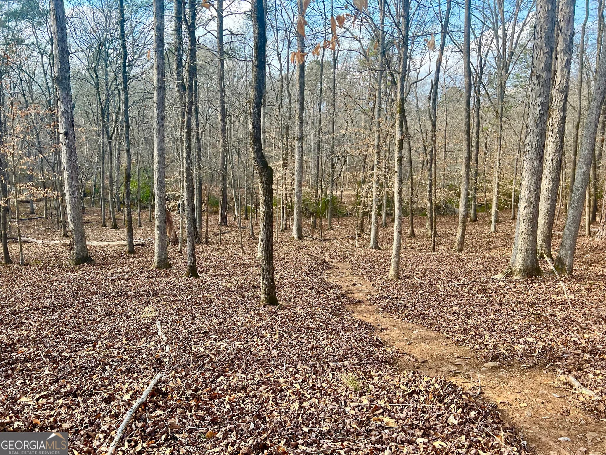 residential lot for sale at 5475 Trout Creek Drive, Douglasville, GA 30135 — photo 5