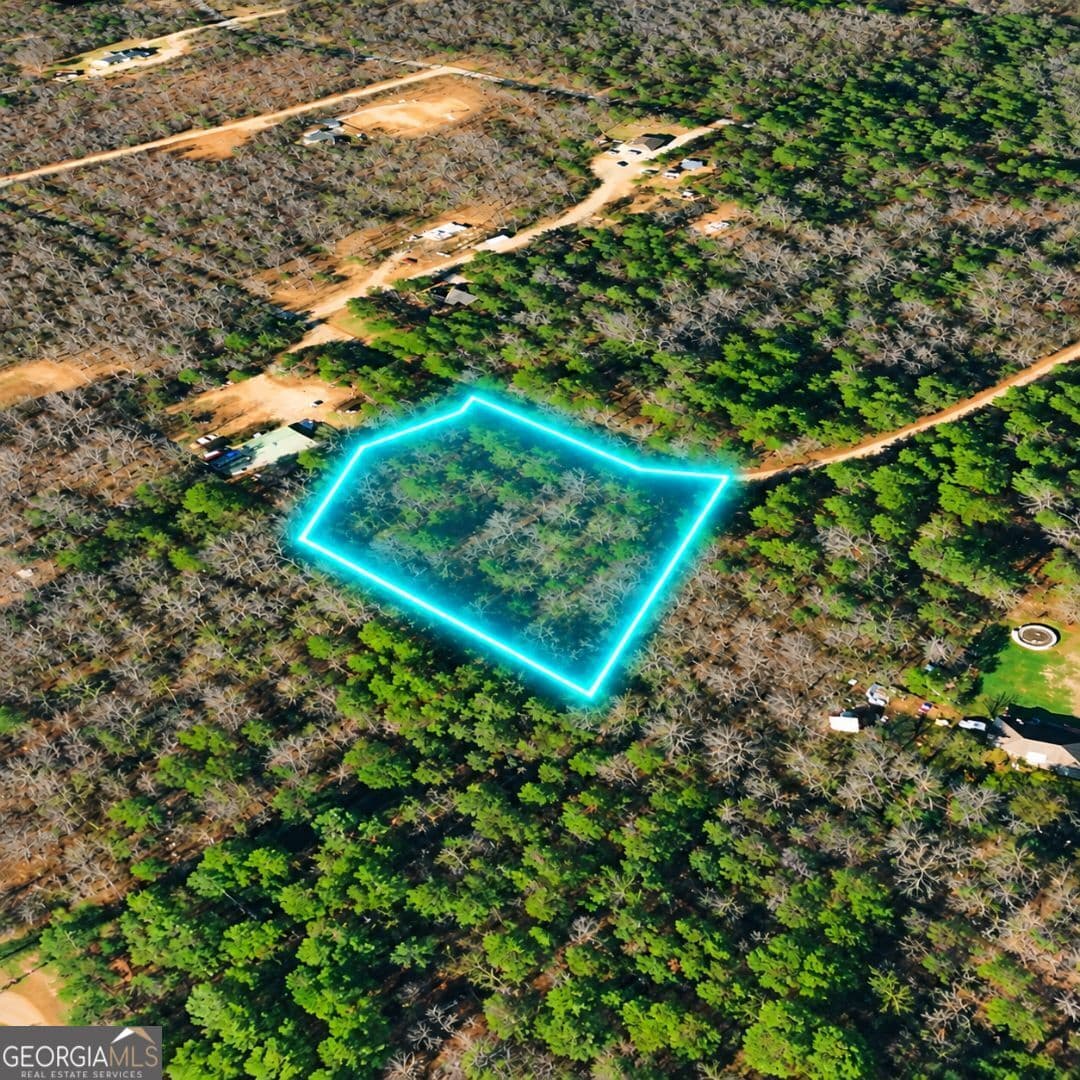 residential lot for sale at 0 Pine Woods Drive, Blairsville, GA 30512 — photo 10