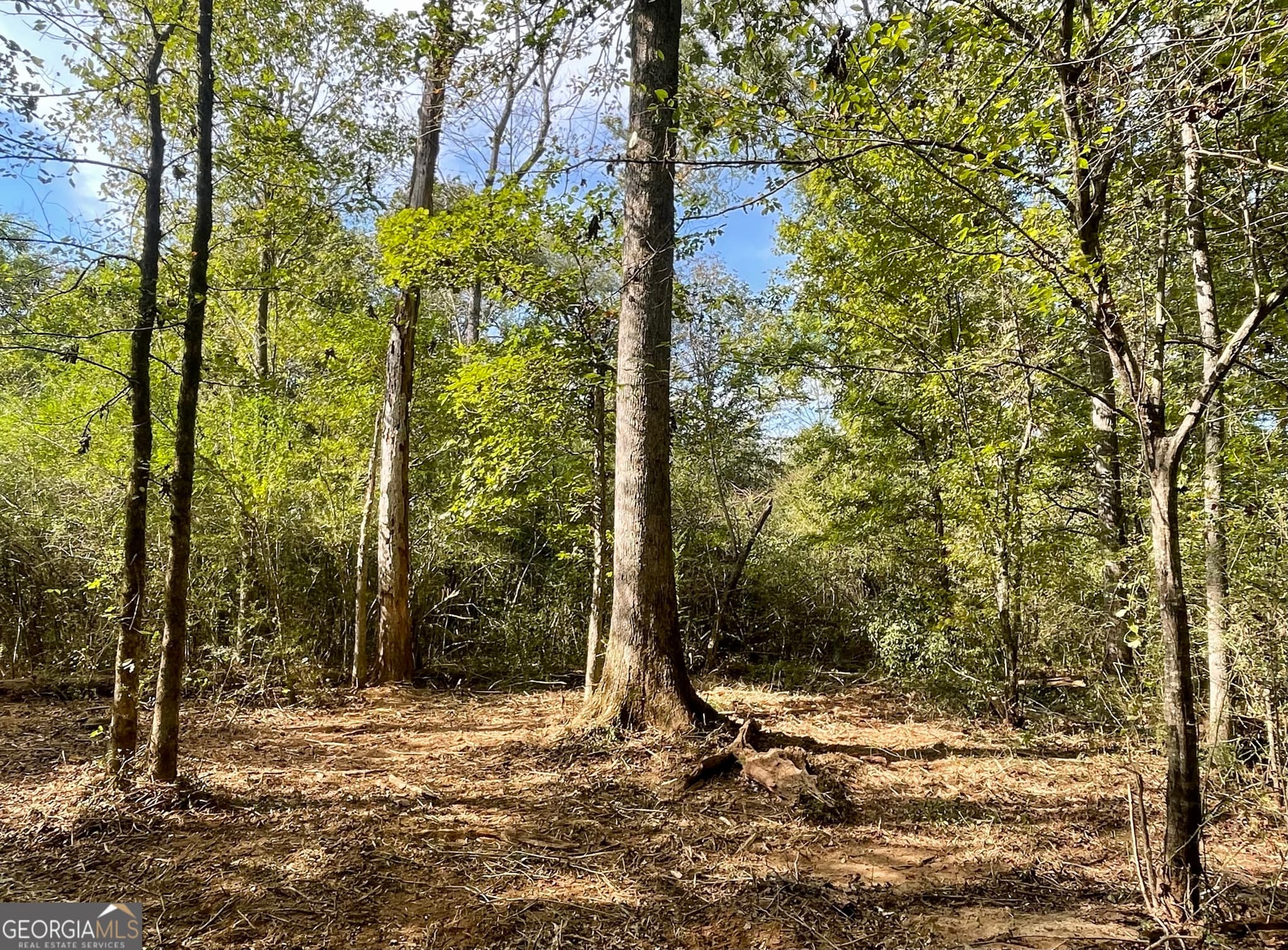 agriculture for sale at 0 Buffalo Creek Road, Carrollton, GA 30117 — photo 2