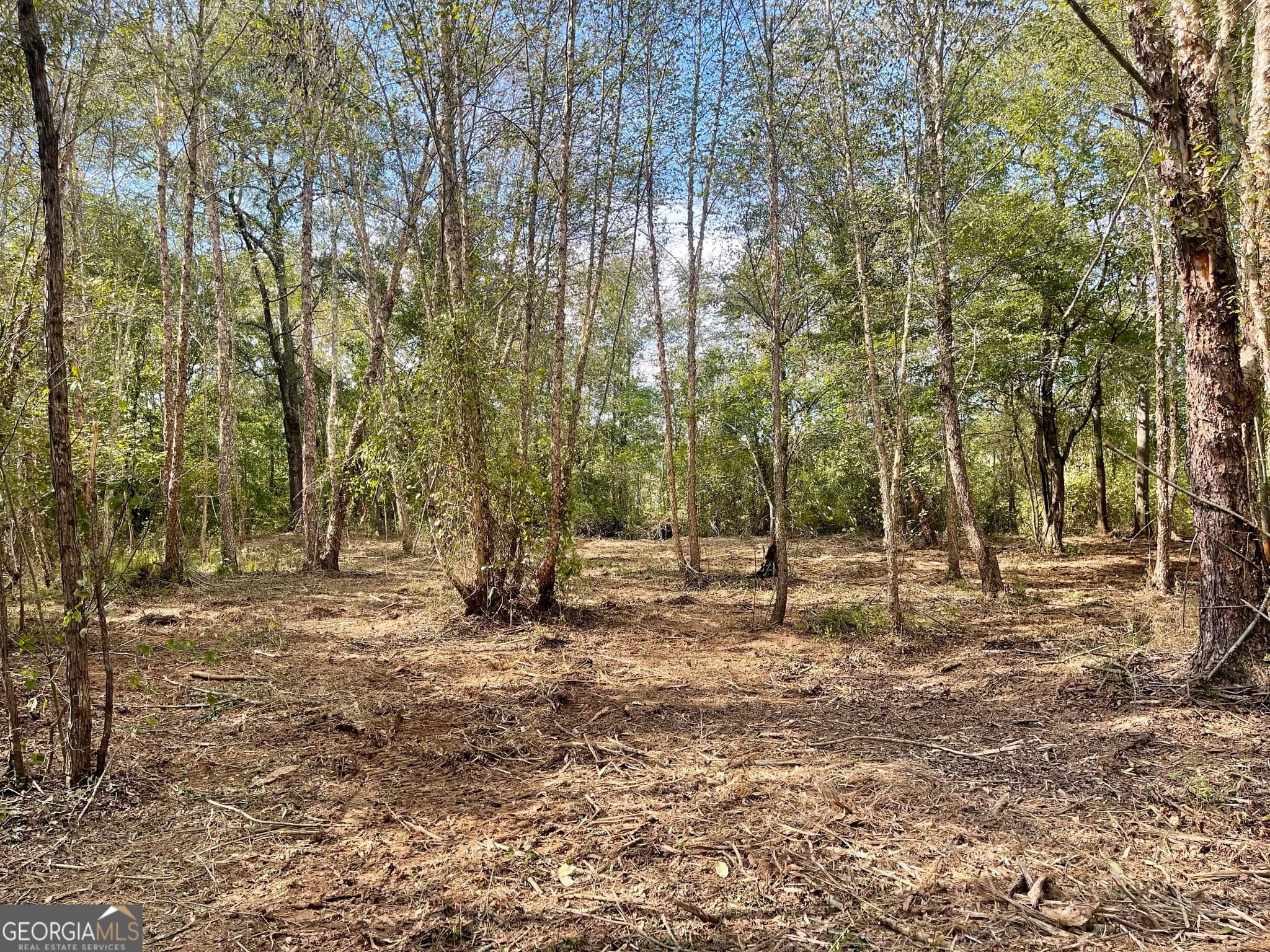 agriculture for sale at 0 Buffalo Creek Road, Carrollton, GA 30117 — photo 6
