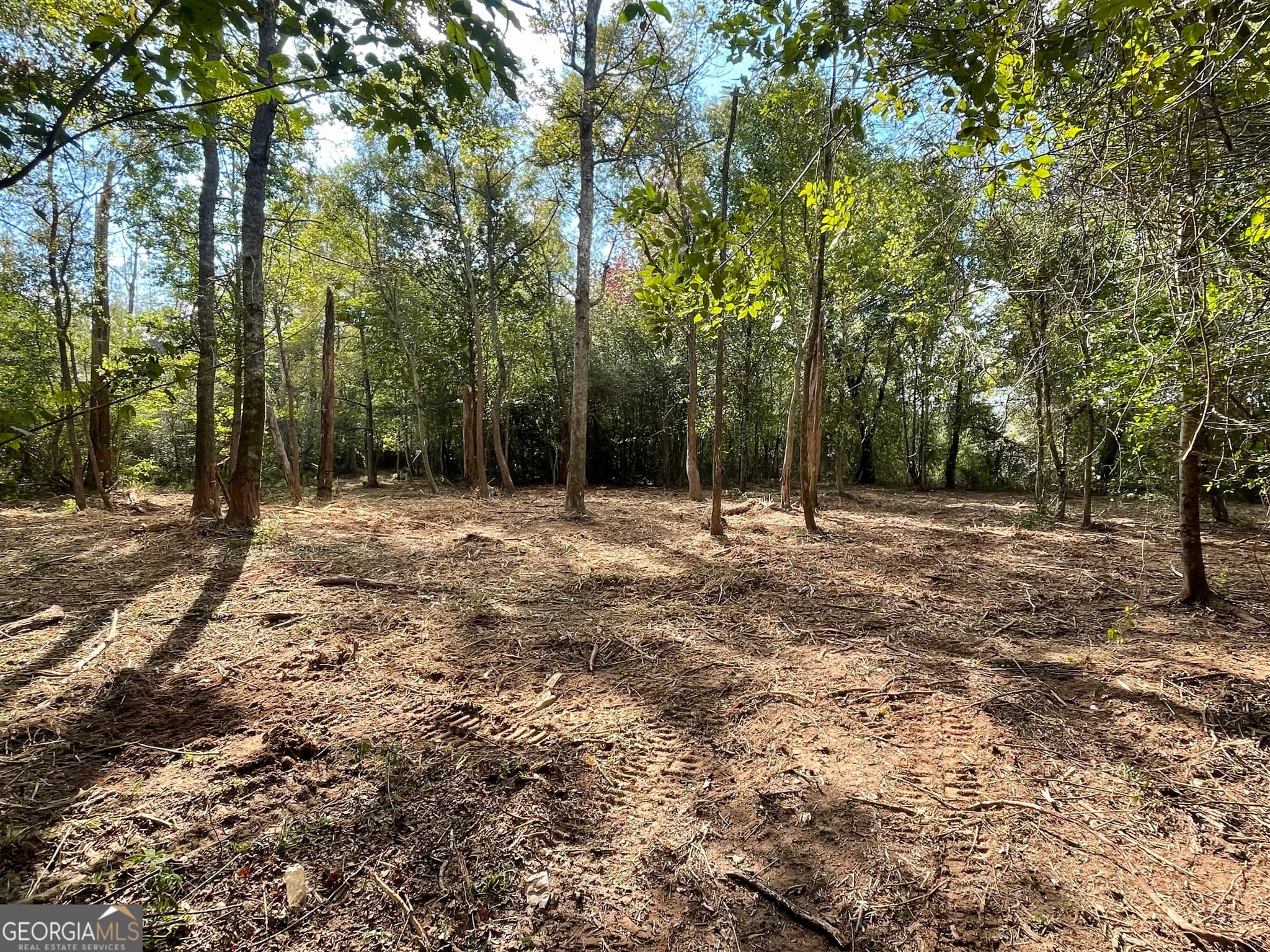 agriculture for sale at 0 Buffalo Creek Road, Carrollton, GA 30117 — photo 3