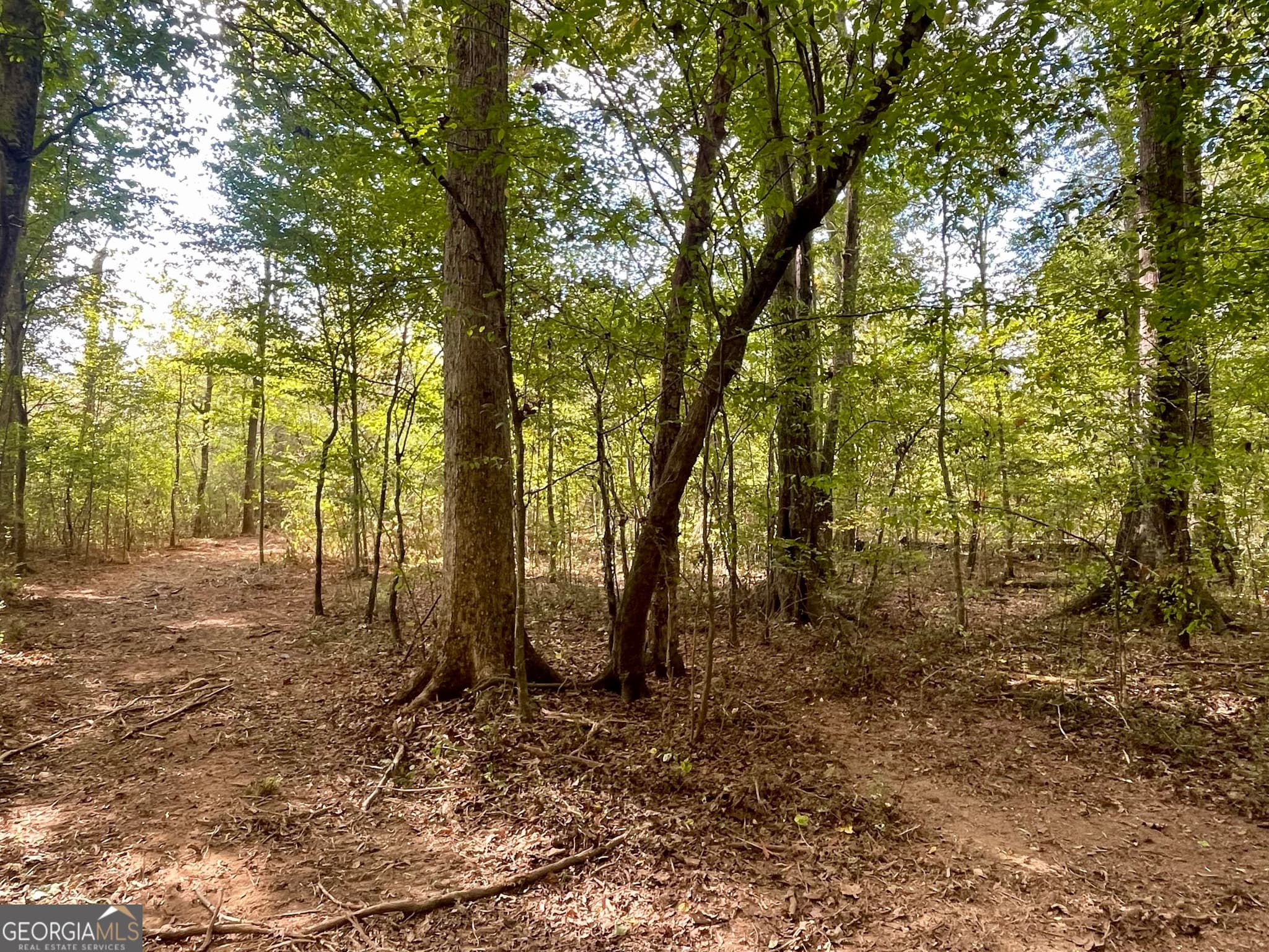 agriculture for sale at 0 Buffalo Creek Road, Carrollton, GA 30117 — photo 1 of 49