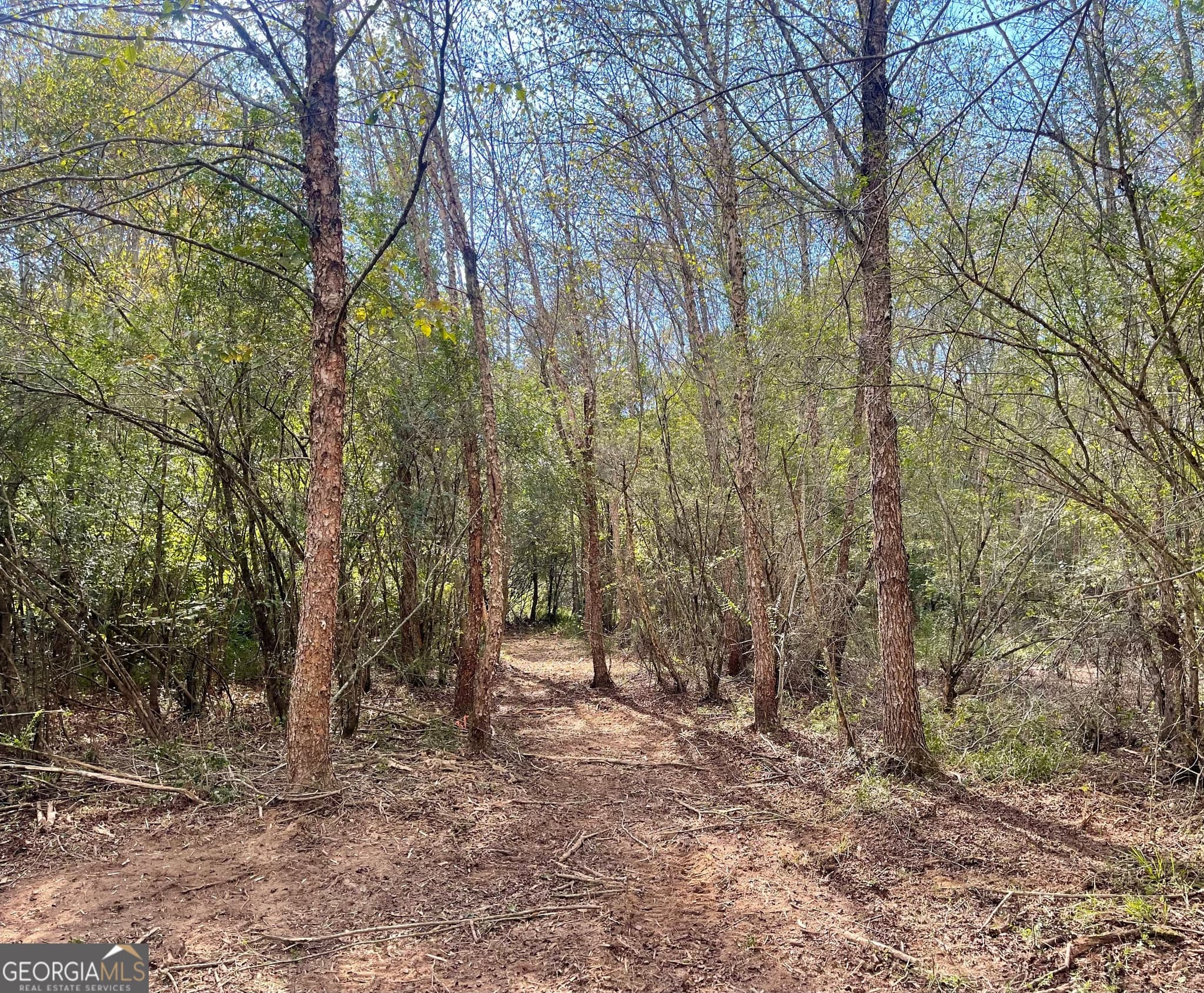 agriculture for sale at 0 Buffalo Creek Road, Carrollton, GA 30117 — photo 5