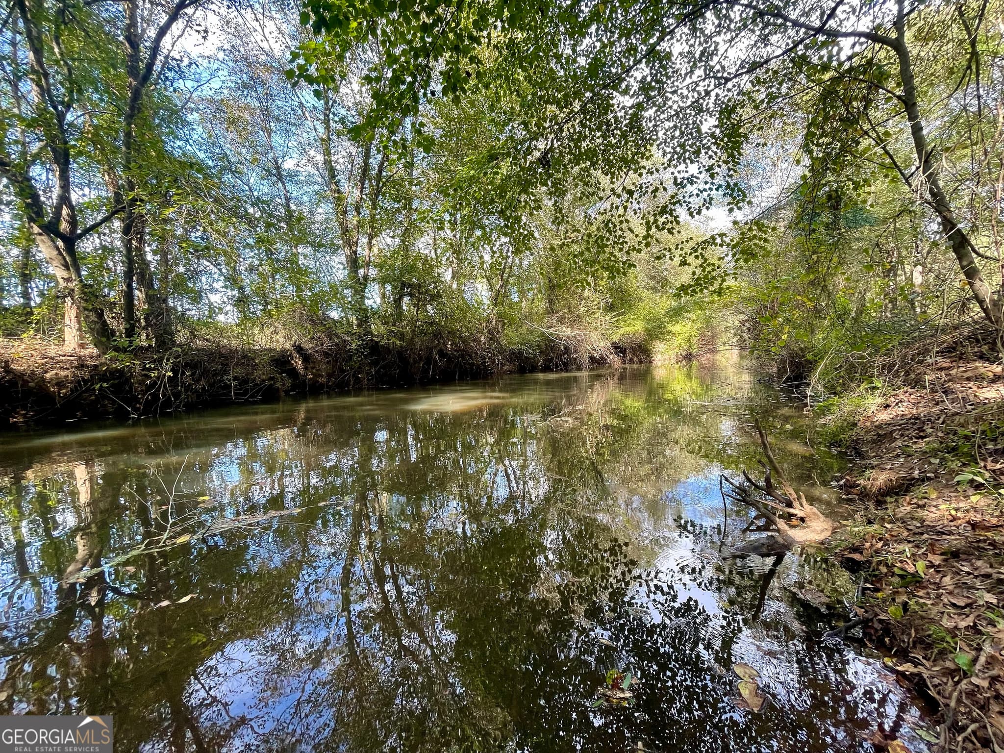 agriculture for sale at 0 Buffalo Creek Road, Carrollton, GA 30117 — photo 9