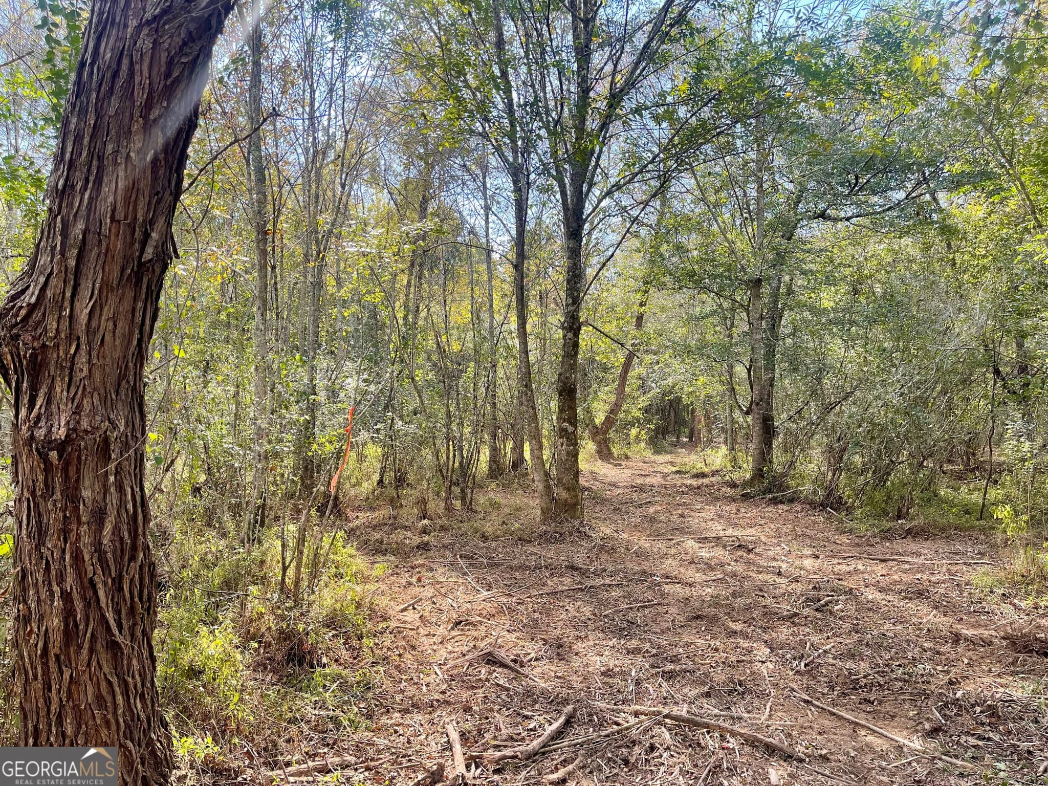 agriculture for sale at 0 Buffalo Creek Road, Carrollton, GA 30117 — photo 4