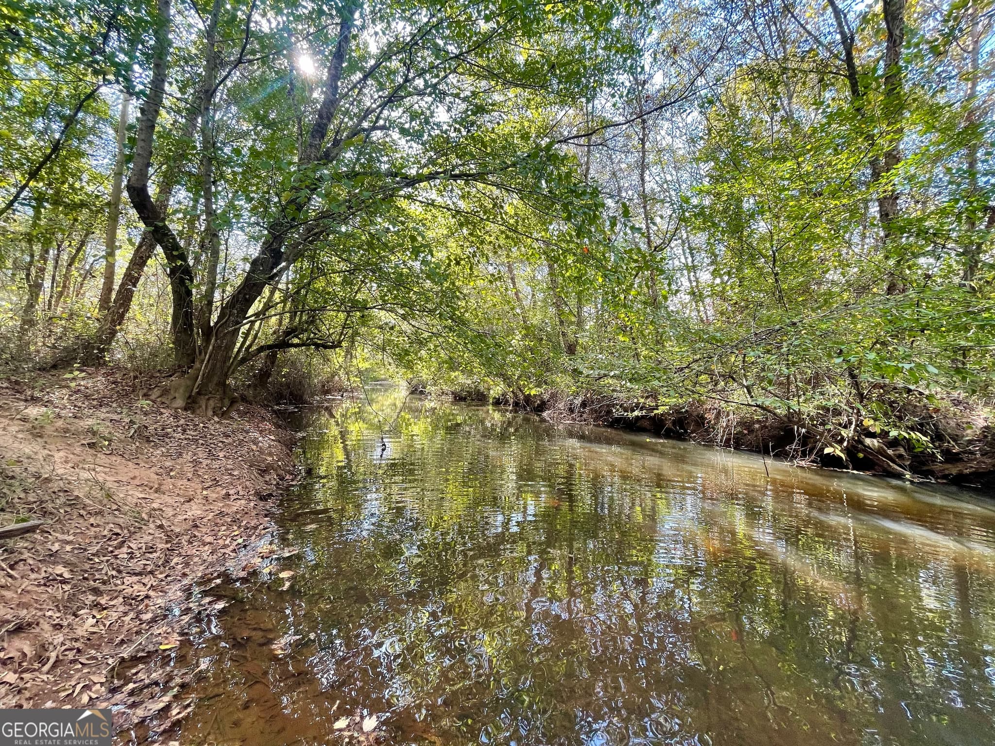 agriculture for sale at 0 Buffalo Creek Road, Carrollton, GA 30117 — photo 8