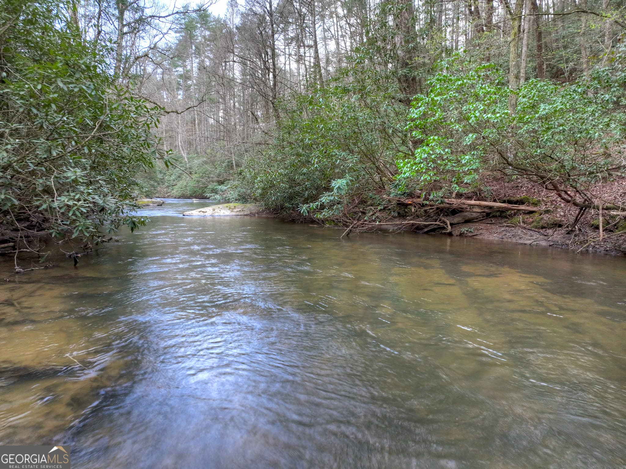 4 bedroom, 3.5 bathroom cabin,single family residence for sale at 266 River Road, Cherry Log, GA 30522 — photo 3