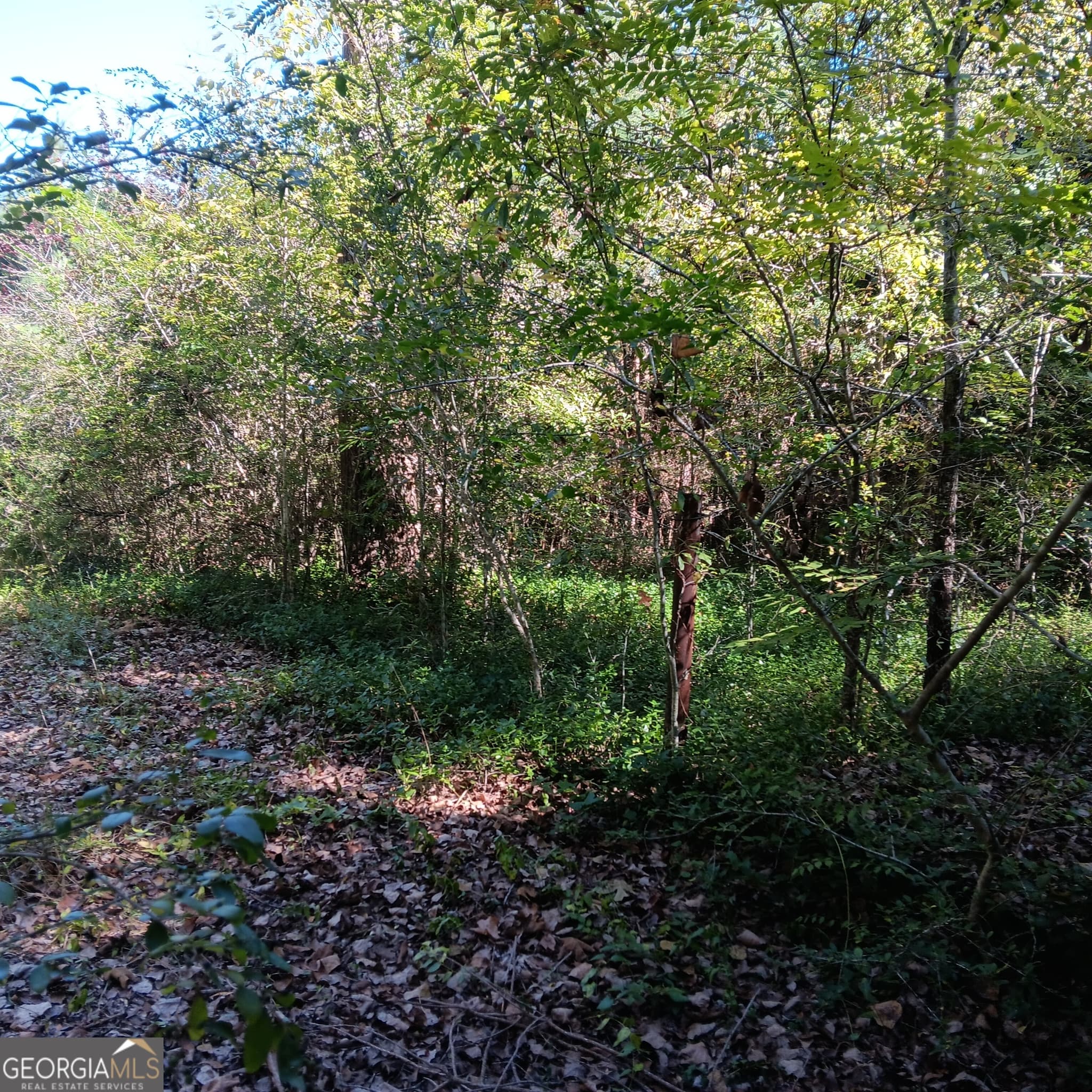 3 bedroom, 2 bathroom single family residence under contract at 4377 Rock Mills Road, Franklin, GA 30217 — photo 6