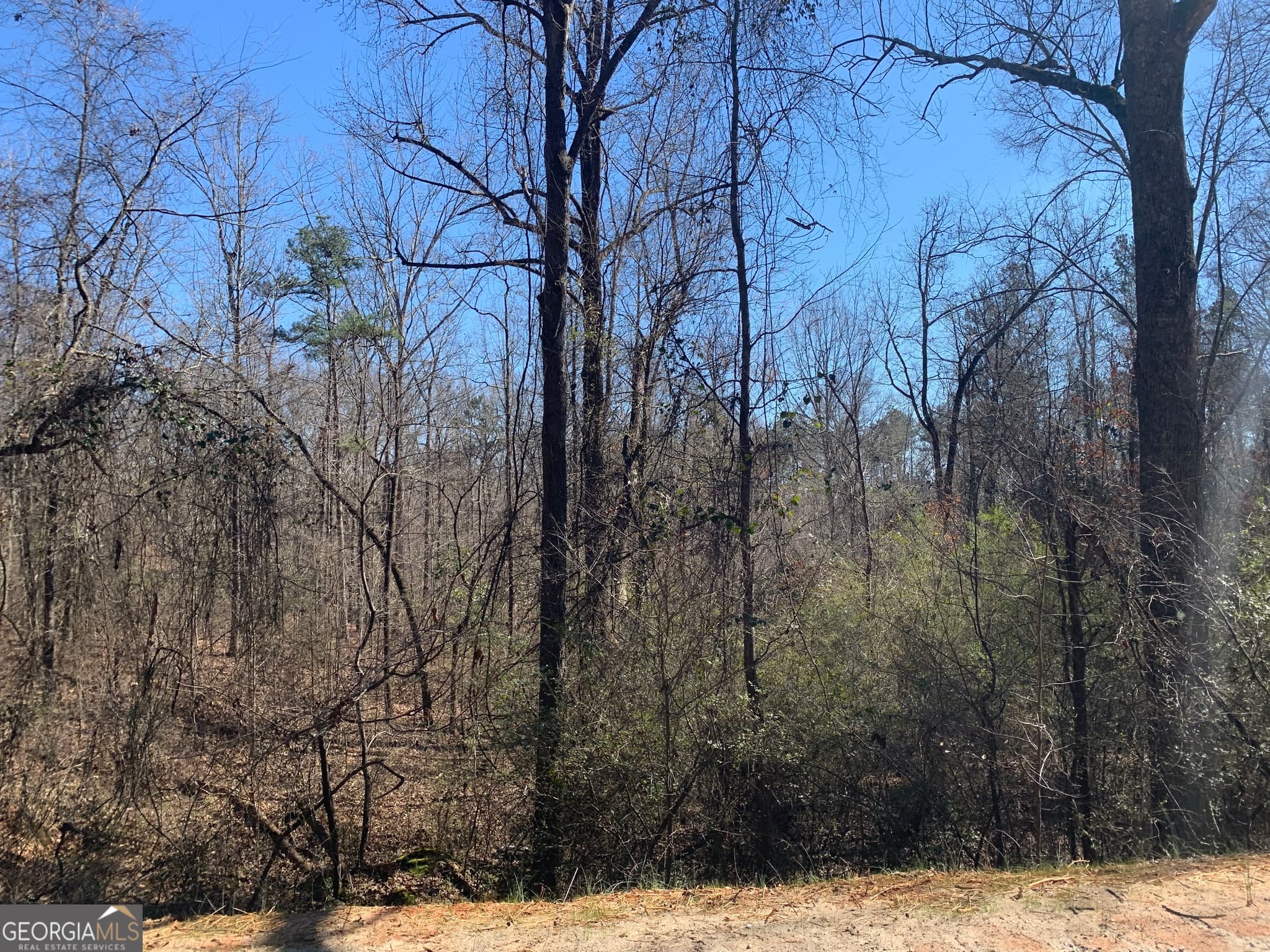 unimproved land for sale at 0 Veterans Drive, Danielsville, GA 30633 — photo 2