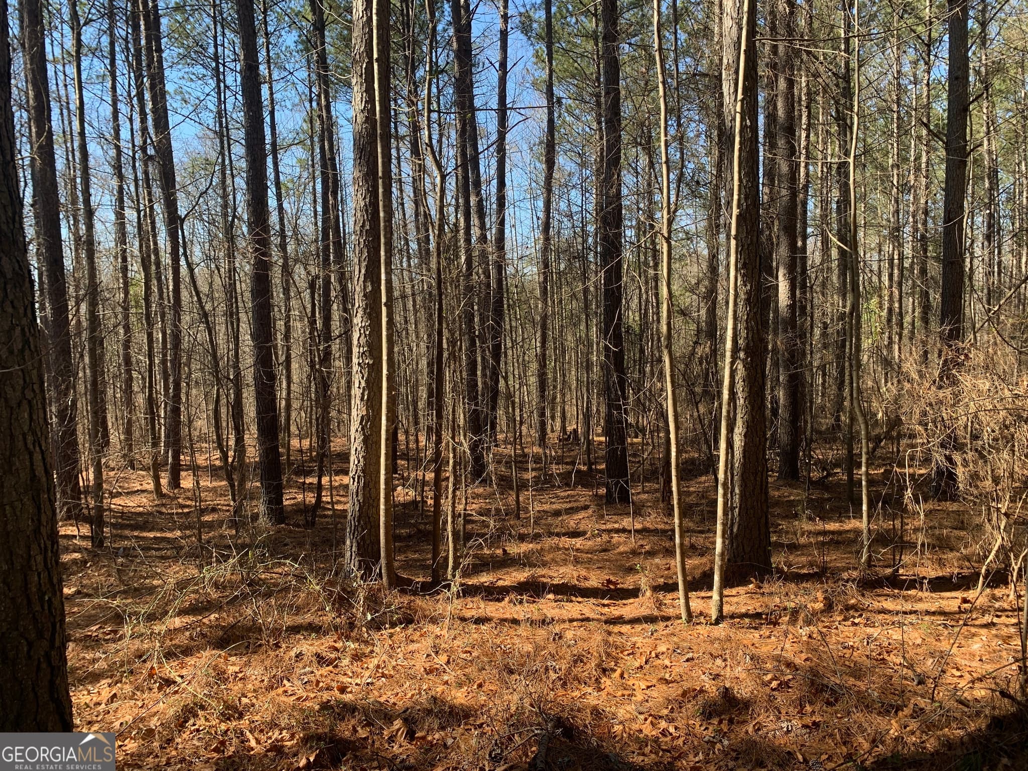unimproved land for sale at 0 Veterans Drive, Danielsville, GA 30633 — photo 3
