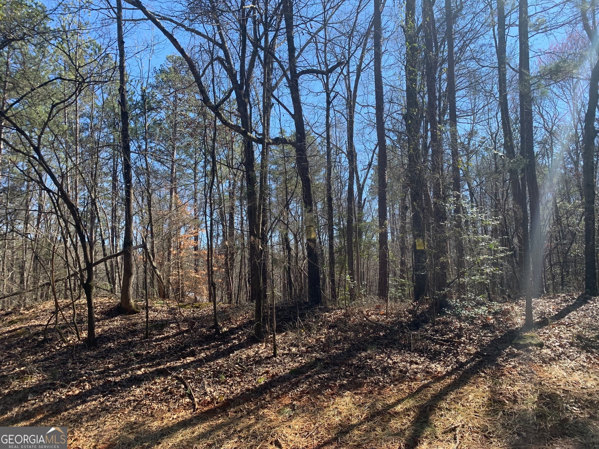 unimproved land for sale at 0 Veterans Drive, Danielsville, GA 30633 — photo 1 of 7