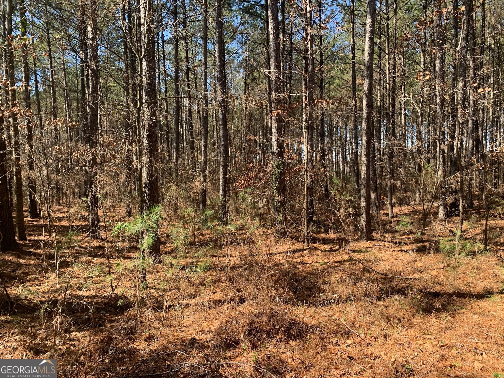 unimproved land for sale at 0 Veterans Drive, Danielsville, GA 30633 — photo 5