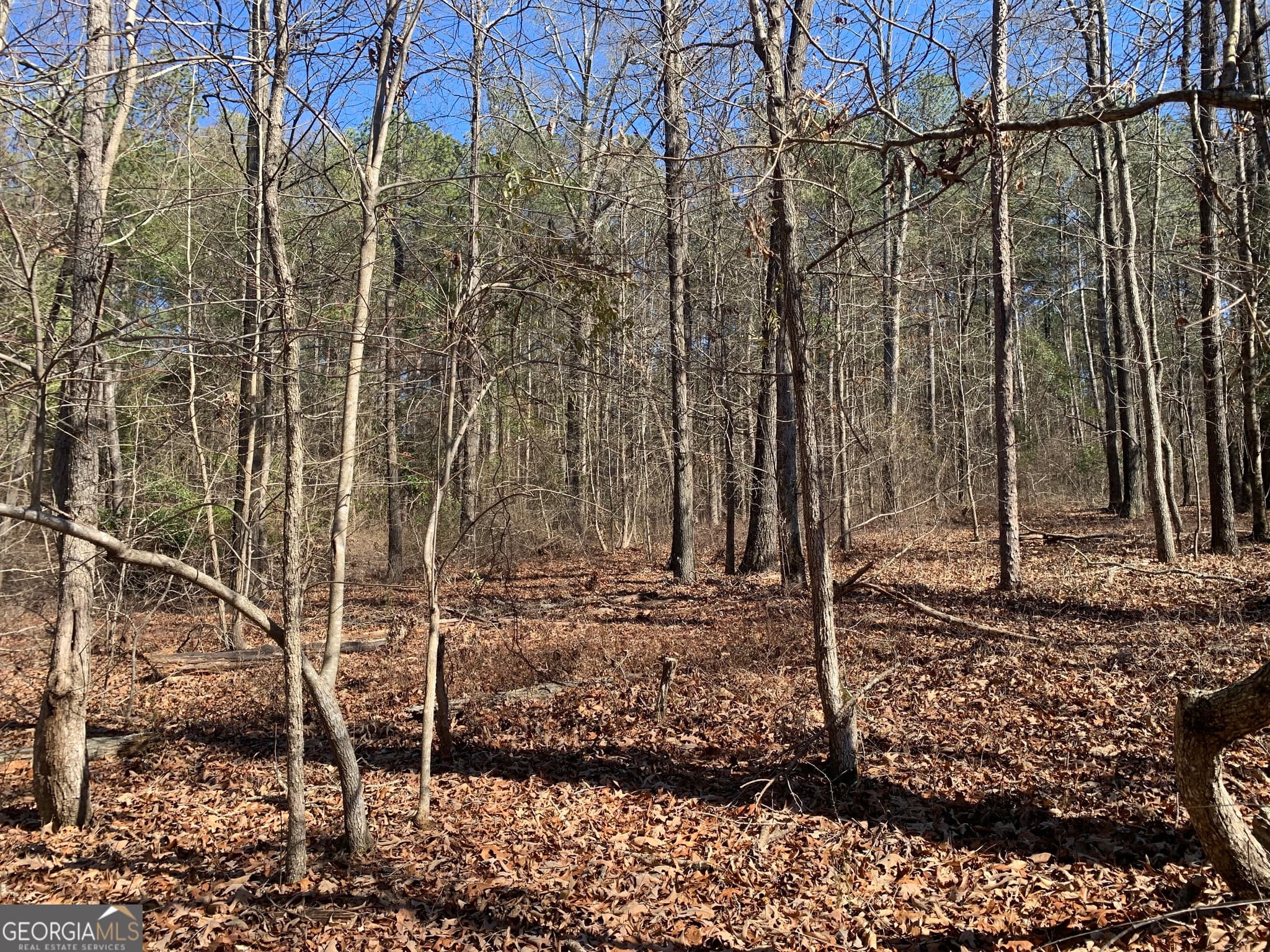 unimproved land for sale at 0 Veterans Drive, Danielsville, GA 30633 — photo 4