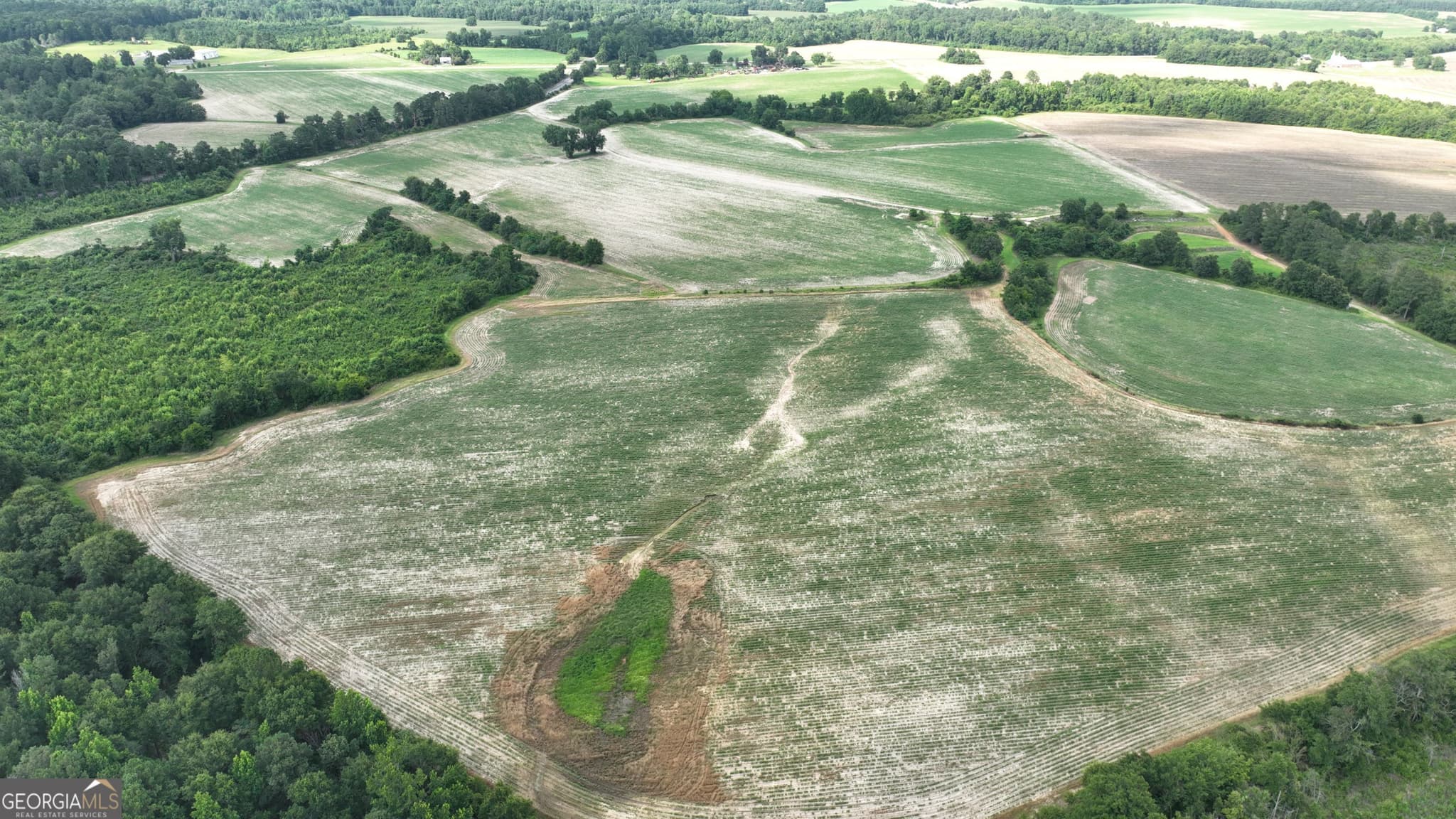 unimproved land for sale at 0 Ben Hadden Road, Stapleton, GA 30823 — photo 2