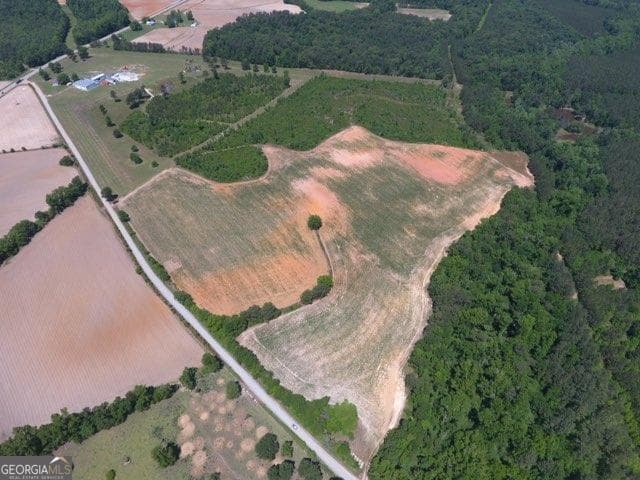unimproved land for sale at 0 Ben Hadden Road, Stapleton, GA 30823 — photo 3