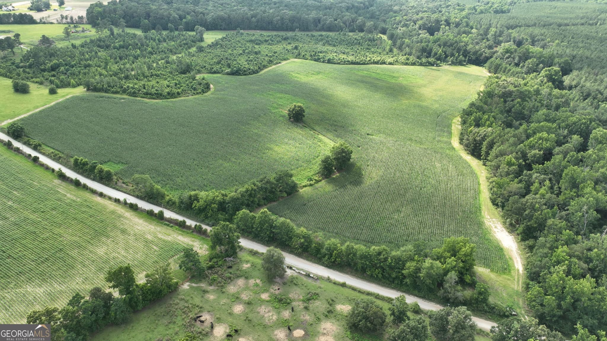 unimproved land for sale at 0 Ben Hadden Road, Stapleton, GA 30823